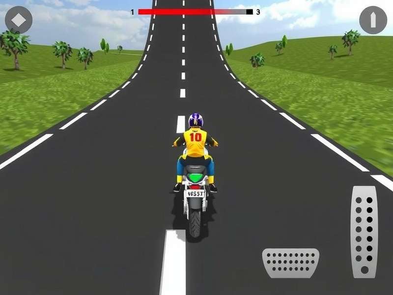 Bike Race India Track Variety